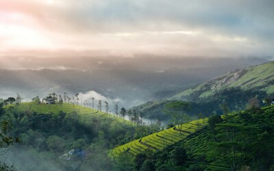 Kerala Munnar Thekkady Alleppey