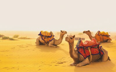 Jodhpur Jaisalmer